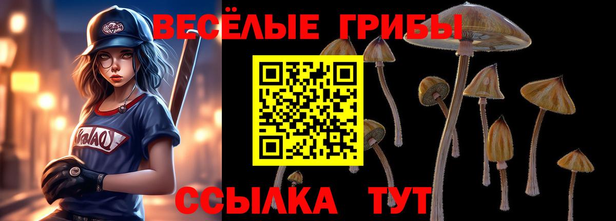 Псилоцибиновые грибы Psilocybe  Вход с VPN  Якутск  Галлюциногенные грибы мухоморы 